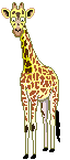 长颈鹿gif动画0006