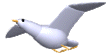 海鸥gif动画0005