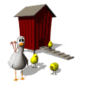 鸡gif动画0063