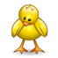 鸡gif动画0065