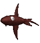 鲸鲨gif动画0005