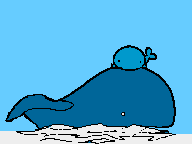 鲸鲨gif动画0009