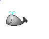 鲸鲨gif动画0011