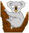 考拉(树袋熊)gif动画0010