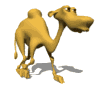 骆驼gif动画0001