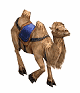 骆驼gif动画0003