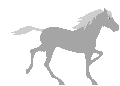 马匹gif动画0014