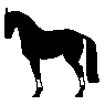 马匹gif动画0016