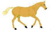 马匹gif动画0028