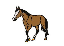 马匹gif动画0033