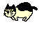 猫gif动画0046