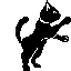 猫gif动画0062