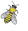蜜蜂gif动画0001