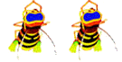 蜜蜂gif动画0007
