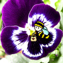 蜜蜂gif动画0015