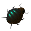 其它昆虫gif动画0008