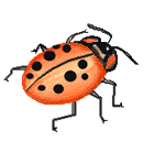 其它昆虫gif动画0021