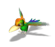 其它鸟类gif动画0090