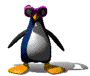 企鹅gif动画0043