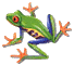 青蛙gif动画0012