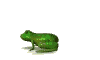 青蛙gif动画0014