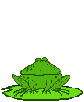 青蛙gif动画0017