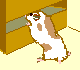 鼠gif动画0050