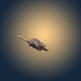 鼠gif动画0082