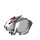兔子gif动画0028