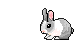兔子gif动画0032