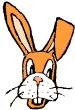 兔子gif动画0047