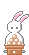兔子gif动画0063