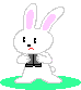 兔子gif动画0064