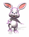 兔子gif动画0068