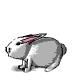 兔子gif动画0071