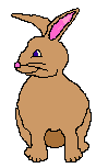 兔子gif动画0082