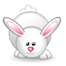 兔子gif动画0097