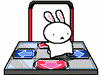 兔子gif动画0118
