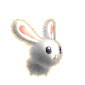兔子gif动画0120