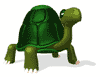 乌龟gif动画0007