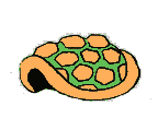乌龟gif动画0008