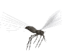 蝇蚊gif动画0003