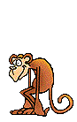 猿猴gif动画0013