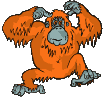 猿猴gif动画0025