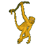 猿猴gif动画0043
