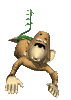 猿猴gif动画0063